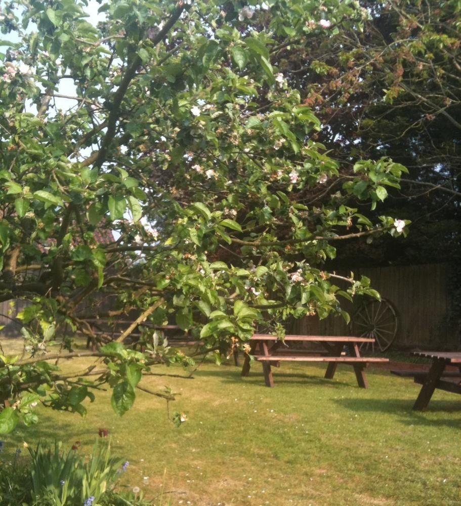 Mundford The Crown Hotel מראה חיצוני תמונה